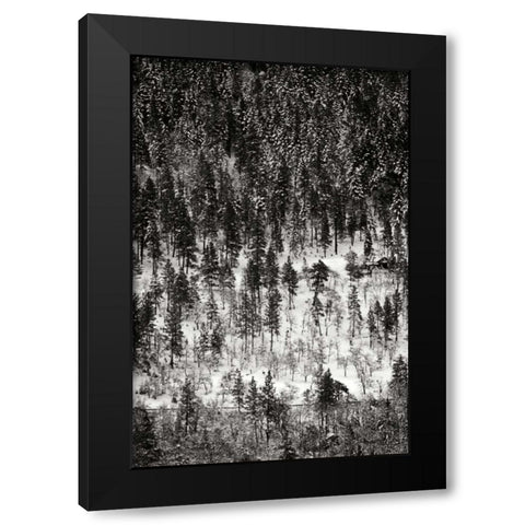 Winter Mosaic II Black Modern Wood Framed Art Print with Double Matting by Geyman, Vitaly