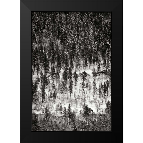 Winter Mosaic II Black Modern Wood Framed Art Print by Geyman, Vitaly