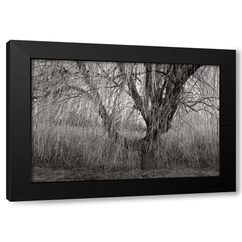 Winters Palace V BandW Black Modern Wood Framed Art Print with Double Matting by Geyman, Vitaly