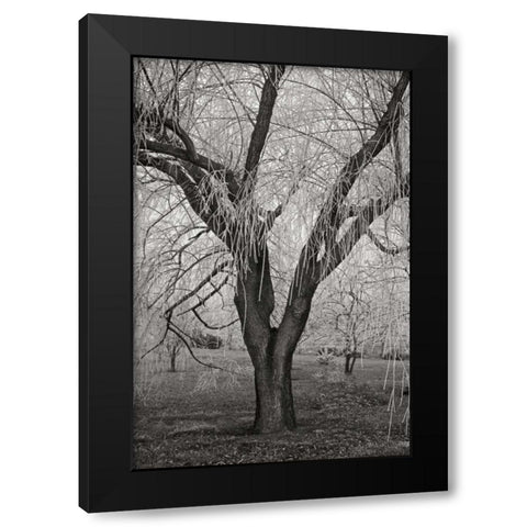 Winters Palace VII BandW Black Modern Wood Framed Art Print with Double Matting by Geyman, Vitaly