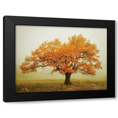 Misty V Black Modern Wood Framed Art Print with Double Matting by Geyman, Vitaly