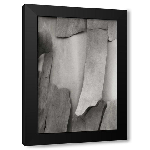 Madrone Mosaic I Black Modern Wood Framed Art Print by Geyman, Vitaly