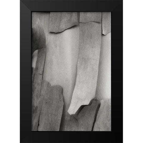 Madrone Mosaic I Black Modern Wood Framed Art Print by Geyman, Vitaly