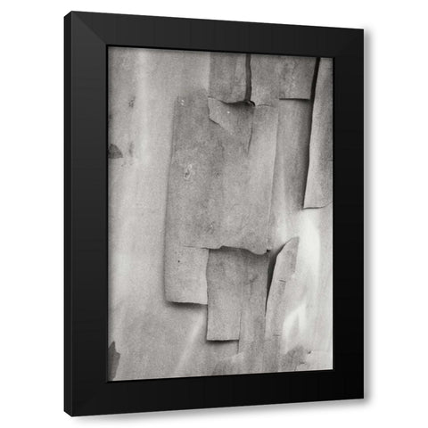 Madrone Mosaic II Black Modern Wood Framed Art Print with Double Matting by Geyman, Vitaly