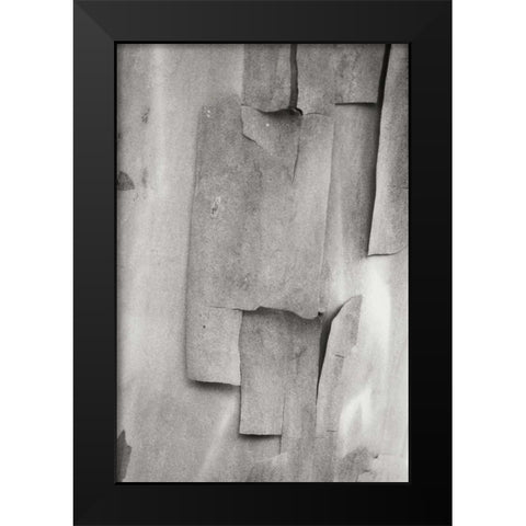 Madrone Mosaic II Black Modern Wood Framed Art Print by Geyman, Vitaly