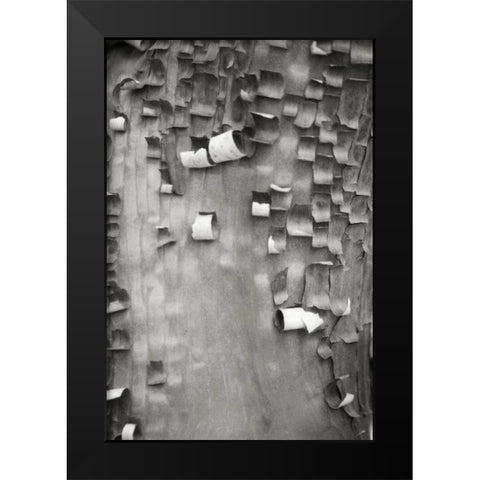 Menzanita Mosaic I Black Modern Wood Framed Art Print by Geyman, Vitaly