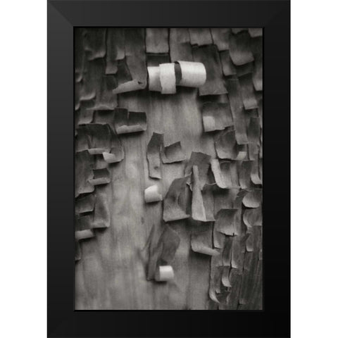 Menzanita Mosaic II Black Modern Wood Framed Art Print by Geyman, Vitaly