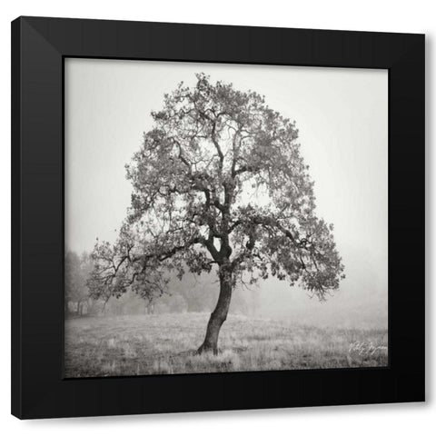 Burning Oak BW VII Black Modern Wood Framed Art Print by Vitaly, Geyman