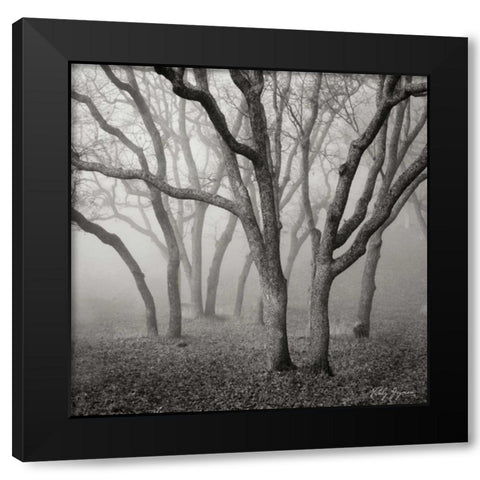 Misty Dance Sq Black Modern Wood Framed Art Print with Double Matting by Vitaly, Geyman