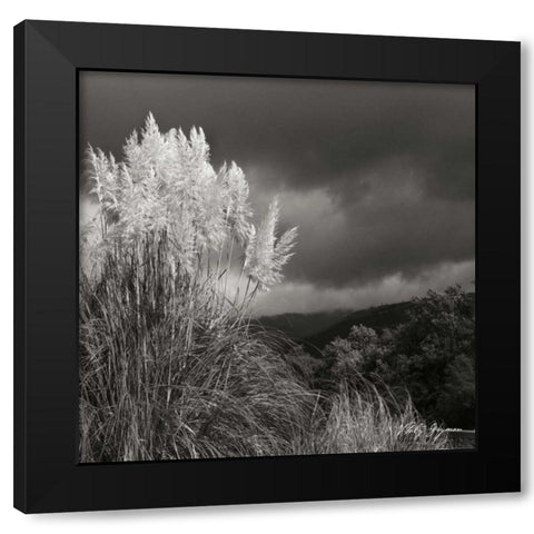 White Towers III BW Black Modern Wood Framed Art Print by Vitaly, Geyman