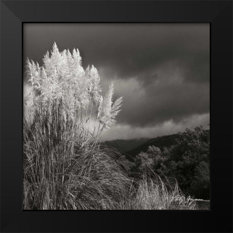White Towers III BW Black Modern Wood Framed Art Print by Vitaly, Geyman