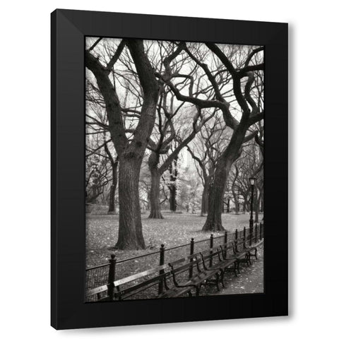 Central Park Dancers I Black Modern Wood Framed Art Print by Vitaly, Geyman