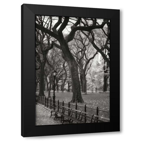 Central Park Dancers II Black Modern Wood Framed Art Print with Double Matting by Vitaly, Geyman