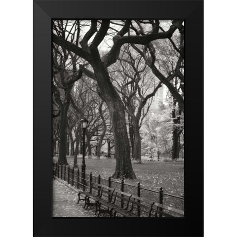 Central Park Dancers II Black Modern Wood Framed Art Print by Vitaly, Geyman