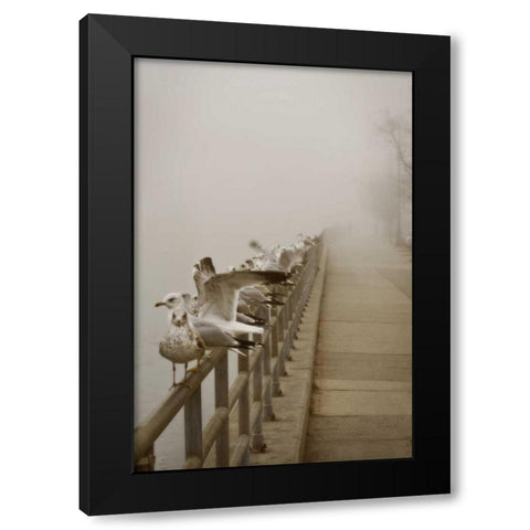 Seagul Paradise II Black Modern Wood Framed Art Print by Vitaly, Geyman