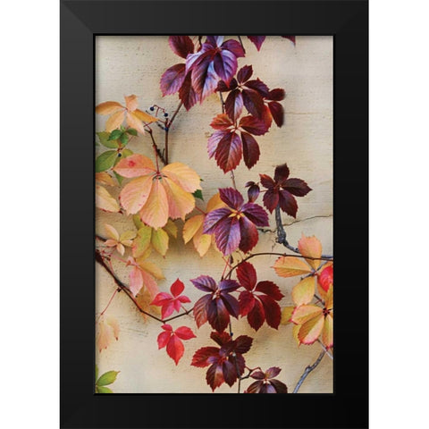 Vine Leaf Romance I Black Modern Wood Framed Art Print by Vitaly, Geyman