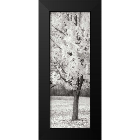 Splash of Color III BW Black Modern Wood Framed Art Print by Geyman, Vitaly