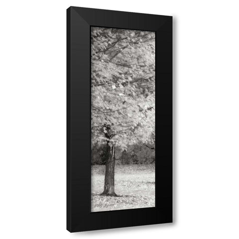 Spash of Color IV BandW Black Modern Wood Framed Art Print by Geyman, Vitaly