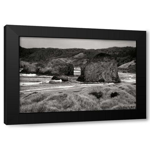 Coastal Spirit I Black Modern Wood Framed Art Print by Geyman, Vitaly