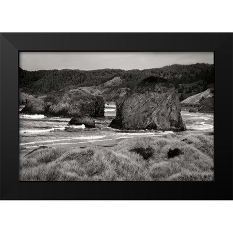Coastal Spirit I Black Modern Wood Framed Art Print by Geyman, Vitaly