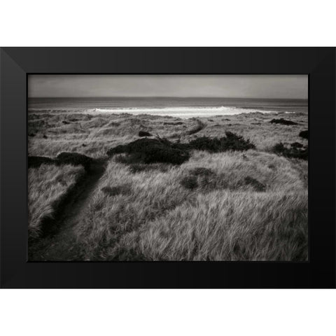 Coastal Spirit II Black Modern Wood Framed Art Print by Geyman, Vitaly