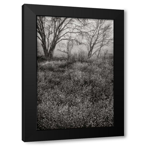 Country Serenity I Black Modern Wood Framed Art Print by Geyman, Vitaly