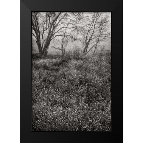 Country Serenity I Black Modern Wood Framed Art Print by Geyman, Vitaly