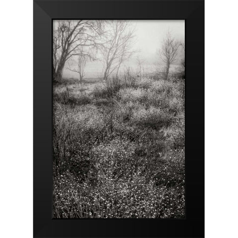 Country Serenity II Black Modern Wood Framed Art Print by Geyman, Vitaly