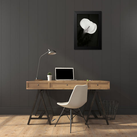 Calla Lily Perfection II Black Modern Wood Framed Art Print by Geyman, Vitaly