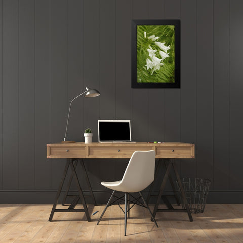 Gentle Bells I Black Modern Wood Framed Art Print by Geyman, Vitaly