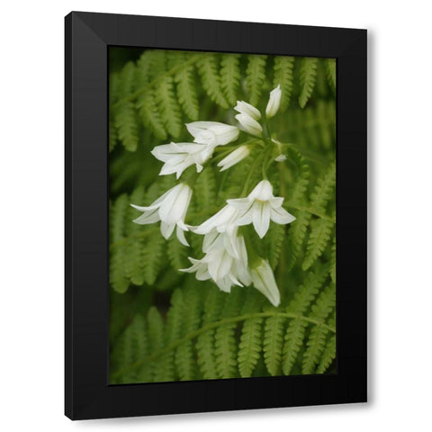 Gentle Bells II Black Modern Wood Framed Art Print with Double Matting by Geyman, Vitaly