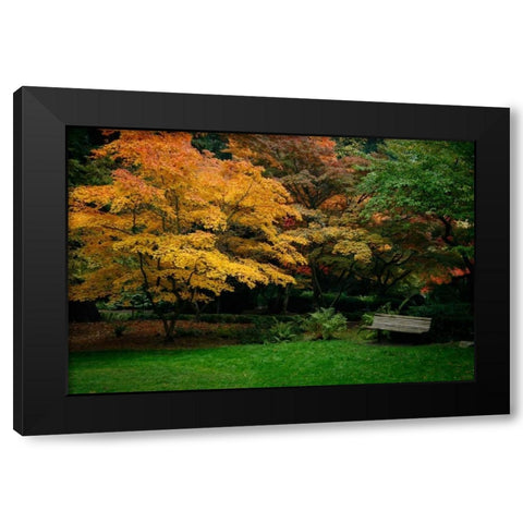 Contemplation II Black Modern Wood Framed Art Print by Geyman, Vitaly