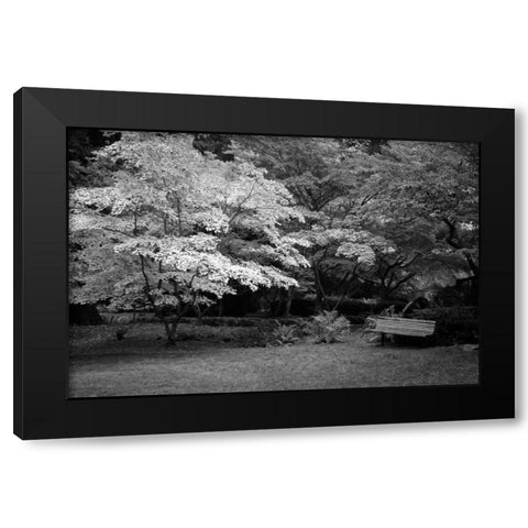 Contemplation II B and W Black Modern Wood Framed Art Print with Double Matting by Geyman, Vitaly