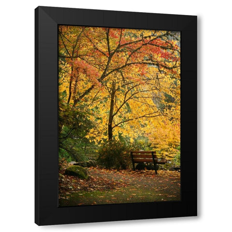 Fall Abundance I Black Modern Wood Framed Art Print with Double Matting by Geyman, Vitaly
