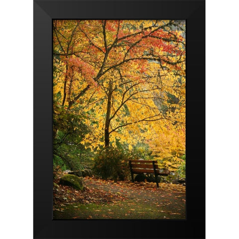 Fall Abundance I Black Modern Wood Framed Art Print by Geyman, Vitaly