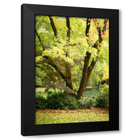 Fall Abundance II Black Modern Wood Framed Art Print by Geyman, Vitaly