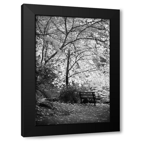 Fall Abundance I B and W Black Modern Wood Framed Art Print with Double Matting by Geyman, Vitaly