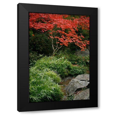 Fall Abundance III Black Modern Wood Framed Art Print by Geyman, Vitaly