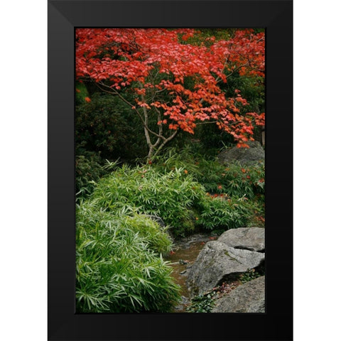 Fall Abundance III Black Modern Wood Framed Art Print by Geyman, Vitaly