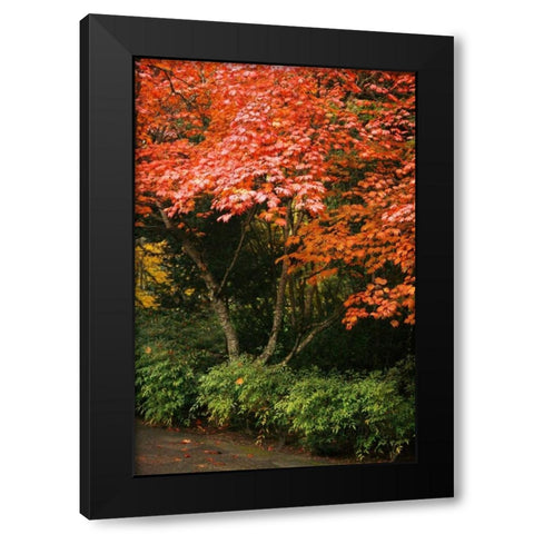 Fall Abundance IV Black Modern Wood Framed Art Print with Double Matting by Geyman, Vitaly