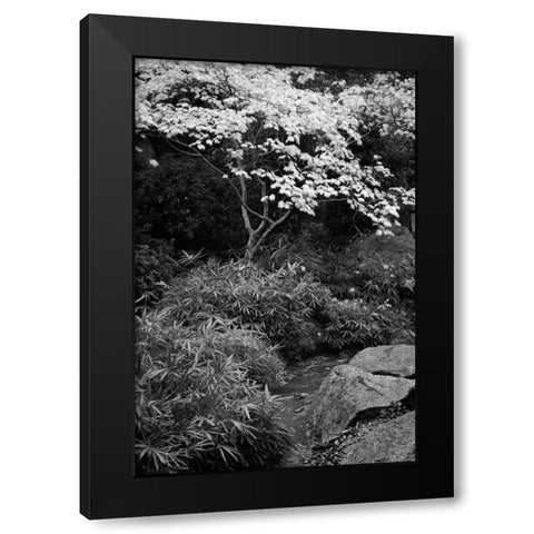 Fall Abundance III B and W Black Modern Wood Framed Art Print with Double Matting by Geyman, Vitaly