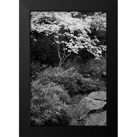 Fall Abundance III B and W Black Modern Wood Framed Art Print by Geyman, Vitaly