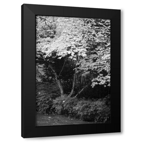 Fall Abundance IV B and W Black Modern Wood Framed Art Print with Double Matting by Geyman, Vitaly