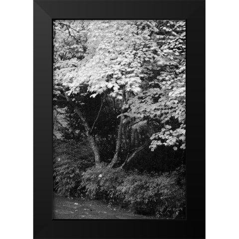 Fall Abundance IV B and W Black Modern Wood Framed Art Print by Geyman, Vitaly