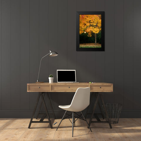 Fall Abundance IX Black Modern Wood Framed Art Print by Geyman, Vitaly