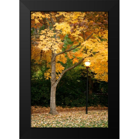 Fall Abundance X Black Modern Wood Framed Art Print by Geyman, Vitaly
