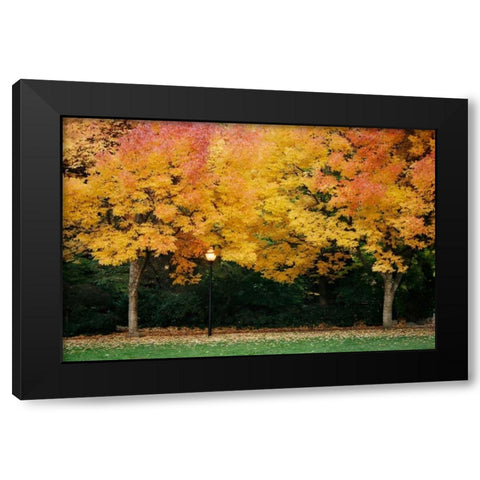 Fall Abundance V Black Modern Wood Framed Art Print with Double Matting by Geyman, Vitaly