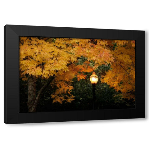 Fall Abundance VII Black Modern Wood Framed Art Print by Geyman, Vitaly