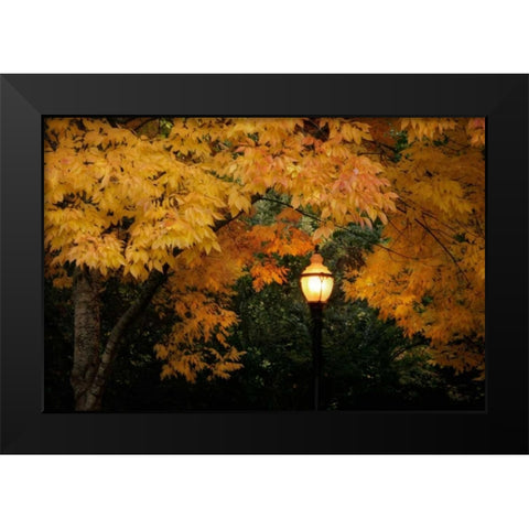 Fall Abundance VII Black Modern Wood Framed Art Print by Geyman, Vitaly