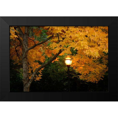 Fall Abundance VIII Black Modern Wood Framed Art Print by Geyman, Vitaly